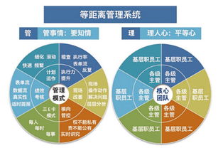 溫州企業(yè)管理咨詢(xún) 為何朗歐是您駐廠咨詢(xún)的卓越之選？