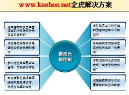 供應(yīng)企業(yè)運(yùn)營(yíng)管理咨詢(xún) 組織結(jié)構(gòu)與流程的常見(jiàn)問(wèn)題與優(yōu)化路徑