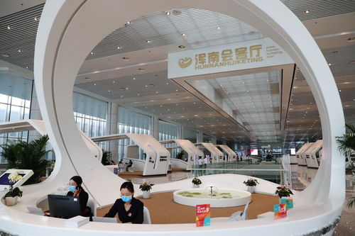 數(shù)智賦能新征程 中國(guó)自貿(mào)區(qū)如何助力企業(yè)管理升級(jí)助推經(jīng)濟(jì)高質(zhì)量發(fā)展